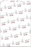 Папір Xerox COLOTECH + SILK (170) A3 400л