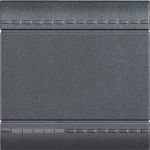 Bticino LivingLight Вимикач з гвинтовими клемами, розмір 2 модуля, колір антрацит