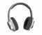 Навушники Panasonic RB-HX220BEES Over-ear Wireless Mic Сільвер
