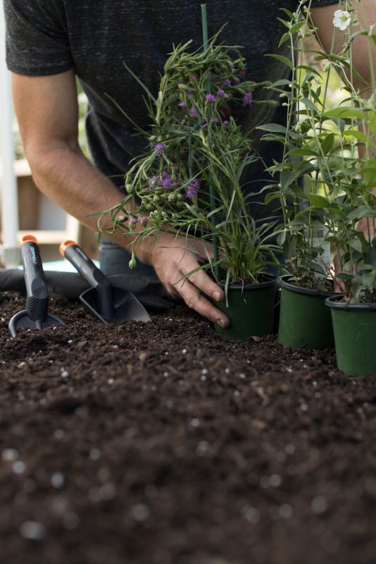 Fiskars Розпушувач Solid 30,7 см, 82г (культиватор ручний)