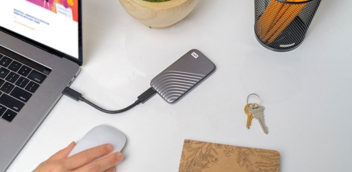 Портативний SSD USB 3.2 WD Passport 1TB R1050/W1000MB/s Space Gray
