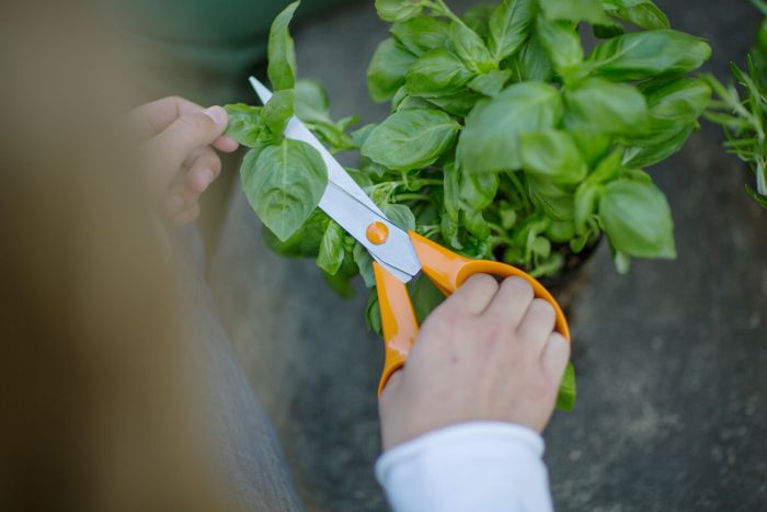 Ножиці Fiskars Classic універсальні, 21 см
