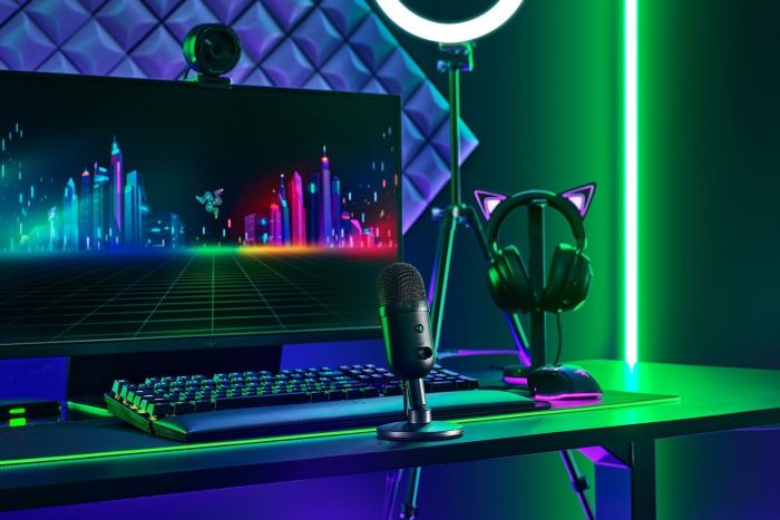 Мікрофон Razer Seiren V2 X Black