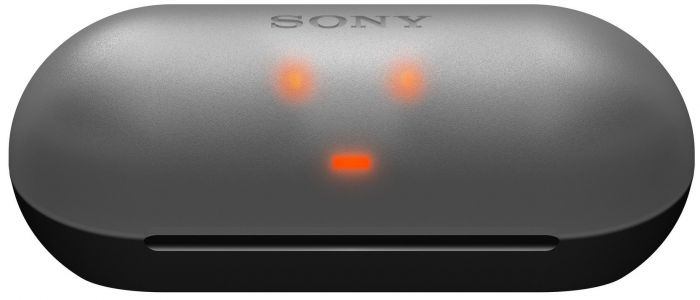 Навушники Sony WF-C500 True Wireless IPX4 Чорний