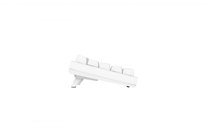 Клавіатура Ducky One 2 Mini Cherry Speed Silver RGB LED RU PBT White