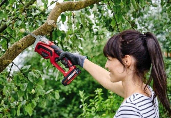 Пила сабельна садова акумуляторна Einhell GE-GS 18 Li Kit 2,5 Ah, акум. 2,5 Аг, 150 мм, 1.14 кг
