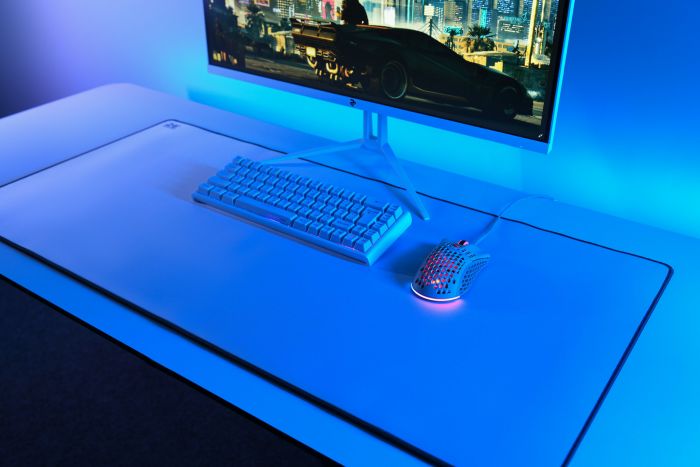 Килимок для миші 2E GAMING Speed/Control XXL White (450*940*4 мм)