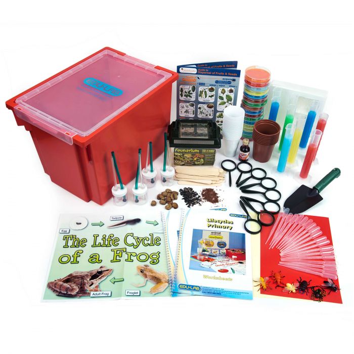 Набір для вивченняжиттєвих циклів tts Life Cycles Experiments Class Kit