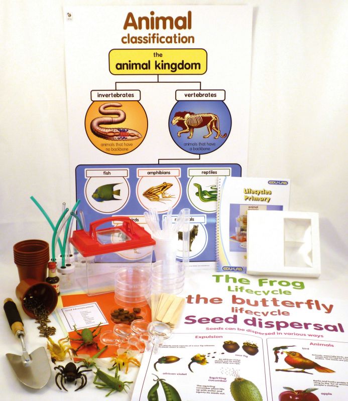 Набір для вивченняжиттєвих циклів tts Life Cycles Experiments Class Kit