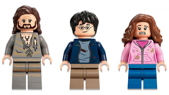 Конструктор LEGO Harry Potter Подвір'я Гоґвортса: Порятунок Сіріуса