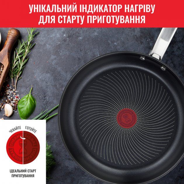 Набір сковорідок Tefal Intuition 20, 26см, покриття Titanium, індукція, Thermo-Spot, нерж.сталь