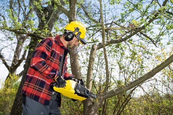 Комплект ланцюгова пила Karcher CNS 36-35 Battery, 36В, швидкозарядний комплект, акб 36В 5Ач