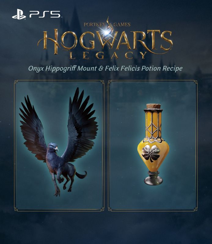 Гра консольна Xbox Series X Hogwarts Legacy, BD диск