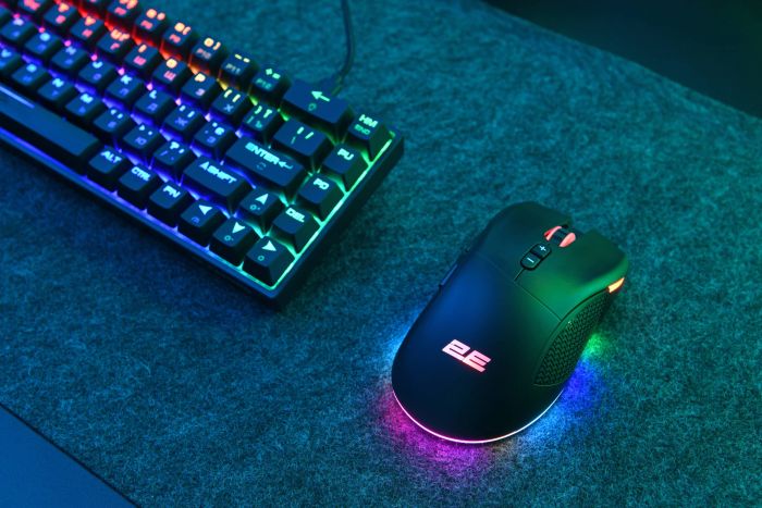 Миша 2E GAMING MG350 WL, RGB USB Black