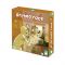 Настільна гра Janod Археологічні пригоди