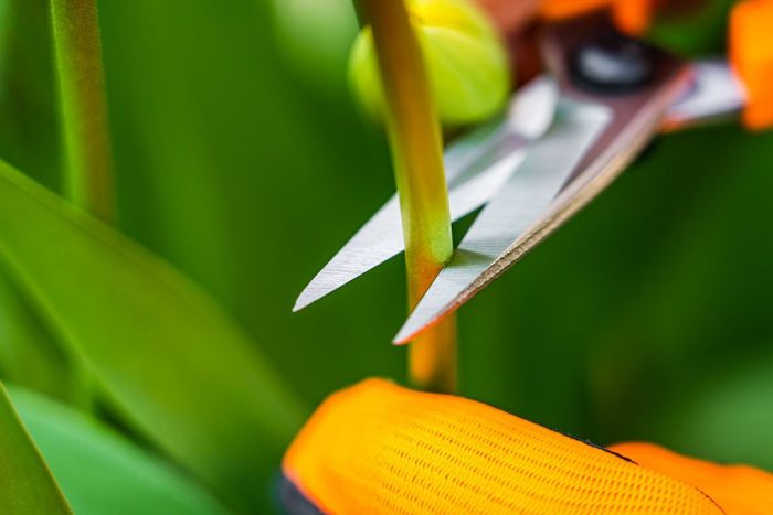 Ножиці садові Neo Tools, 18.5мм, 115г