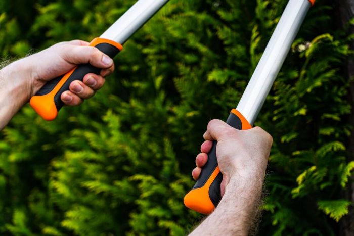 Сучкоріз контактний Neo Tools, d різу 42мм, телескопічний 670-970мм, 1375г