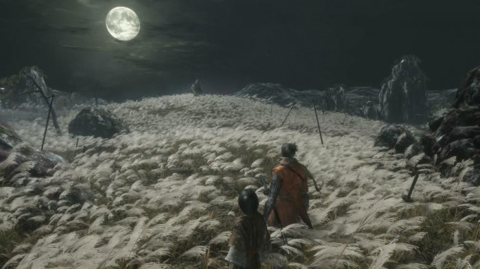 Гра консольна PS4 Sekiro: Shadows Die Twice GOTY, BD диск