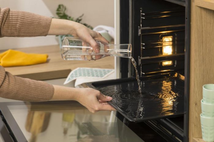 Духова шафа Gorenje електрична, 77л, A+, пара, дисплей, IconTouch, чорний