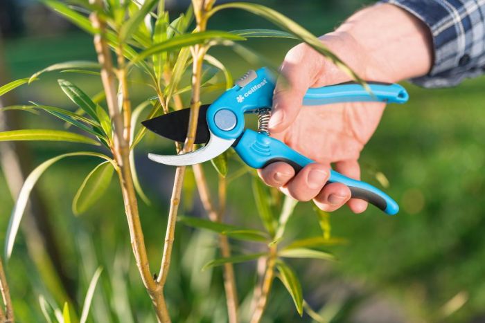 Секатор площинний Cellfast IDEAL, d різу 16мм, довжина 20см