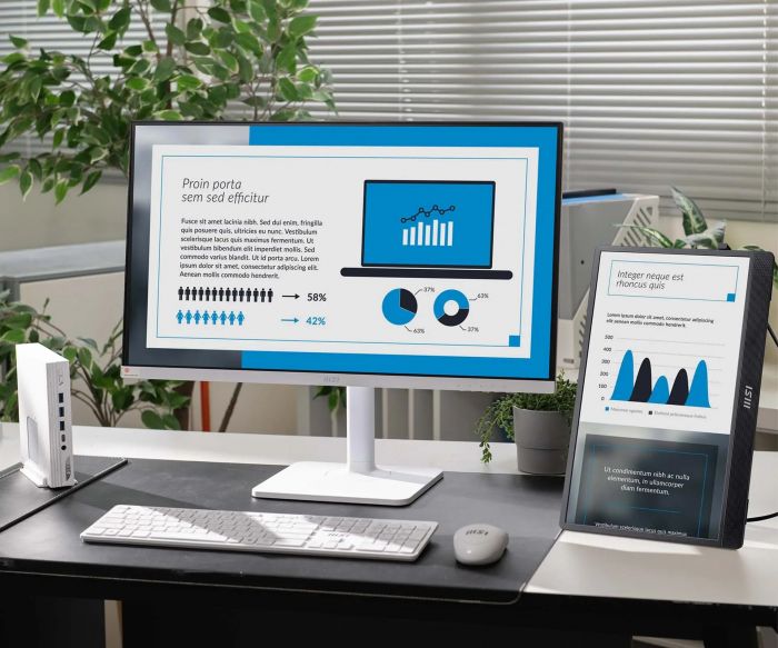 Монітор портативний MSI 15.6" PRO MP161-E2U mHDMI, 2xUSB-C, MM, IPS, Cover