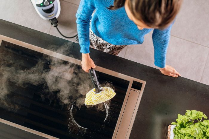 Пароочисник Karcher SC 5 EasyFix Iron, 2250Вт, 1500мл, 4.2Бар, праска,швабра, білий