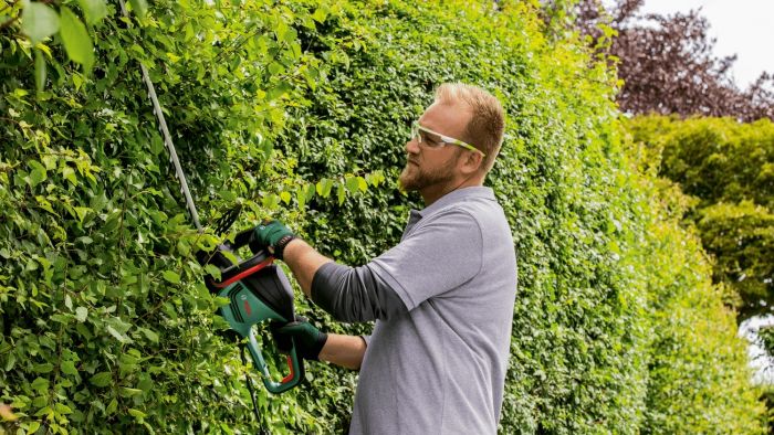 Кущоріз Bosch AdvancedHedgeCut 65 500Вт 65см крок різу 34мм 5.62 кг