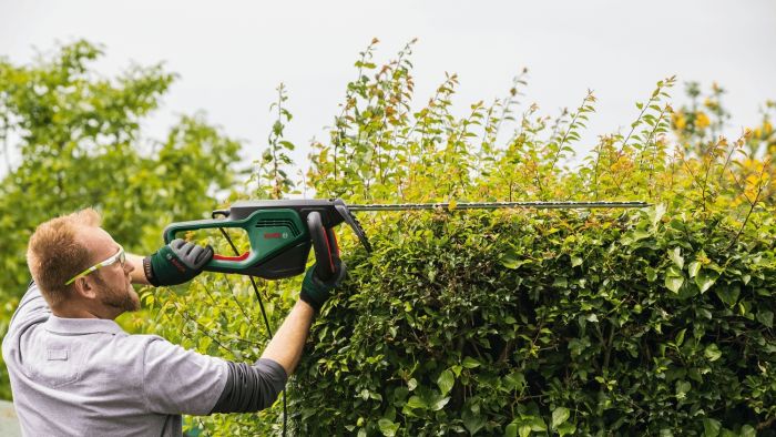 Кущоріз Bosch AdvancedHedgeCut 65 500Вт 65см крок різу 34мм 5.62 кг