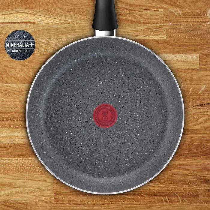 Сковорода Tefal Hard Stone, 20см, алюміній, бакеліт, сірий