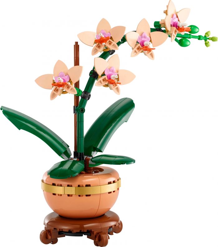 Конструктор LEGO Botanicals Міні орхідея