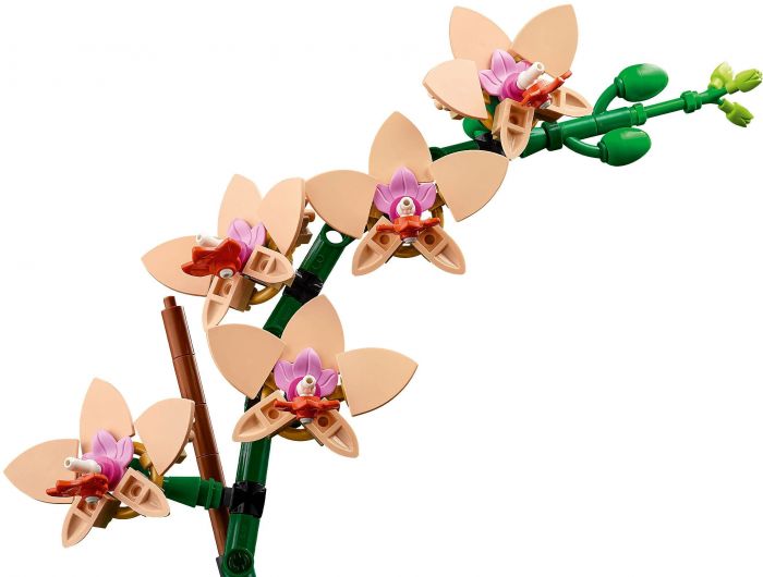 Конструктор LEGO Botanicals Міні орхідея