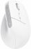 Миша Trust Bayo+ Multidevice Ergonomic, BT/WL/USB-A, біла