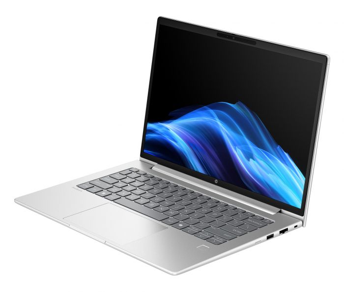 Ноутбук HP Probook 4-G1a 14" WUXGA IPS, AMD R5-230, 24GB, F1024GB, UMA, DOS, сріблястий