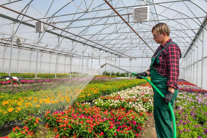 Водяний нагрівач Volcano VR MINI двигун змінного струму AC, 3-20 кВт, 2100 м3/год