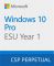 Програмний продукт Microsoft Windows 10 ESU Year 1 (2025 - 2026)
