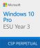 Програмний продукт Microsoft Windows 10 ESU Year 3 (2027 - 2028)