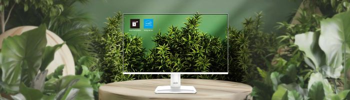 Монітор MSI 24.5" PRO MP251W-E2 D-Sub, HDMI, DP, MM, IPS, 120Hz, sRGB 99%, AdaptiveSync, білий