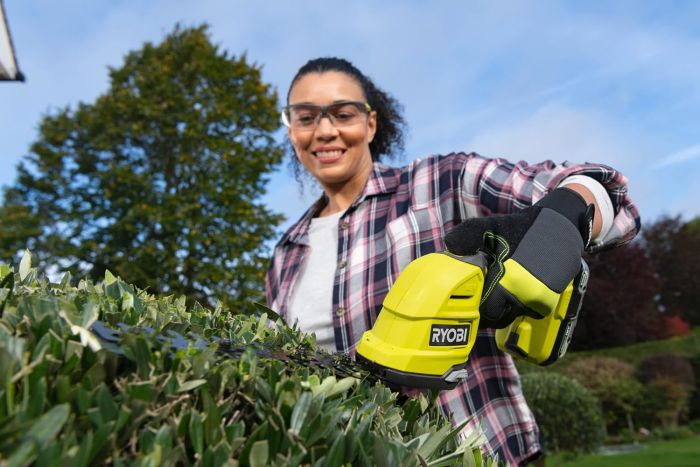 Лезо змінне Ryobi RAC323 кущоріз ножиць для трави RY18GSA