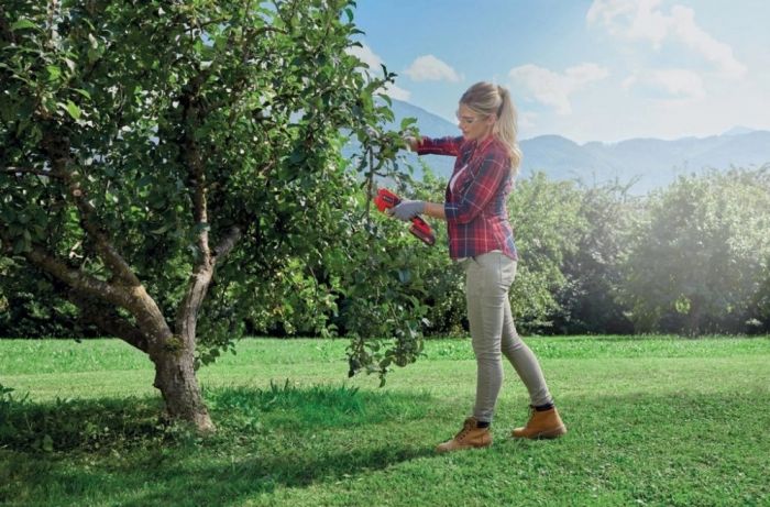 Секатор акумуляторний Einhell GE-LS 18 Li Kit 18В PXC акб 1х2.5А·год до 28мм ЗП 0.9кг