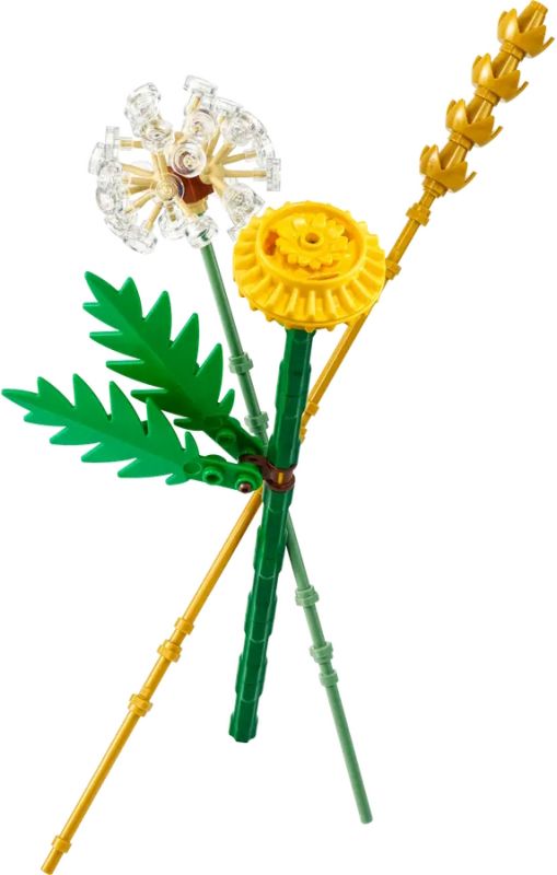 Конструктор LEGO recruitment Botanicals Польові квіти