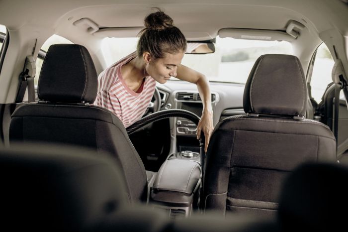 Насадка Karcher щілинна для пилососів 0.109кг