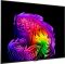 Телевізор 55" LG OLED 4K 120Hz (VRR 165Hz) Smart WebOS Black