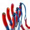Кліщі переставні KNIPEX 0-40мм 180мм 0.255кг