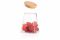 Банка для зберігання Ardesto Fresh, конус, 510 мл, скло, бамбук