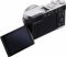 Цифр. фотокамера Panasonic DC-L10 Silver