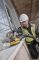 Шліфмашина ексцентрикова DeWalt 280Вт 8000-12000об/хв 125мм амплітуда 2.6мм 1.28кг