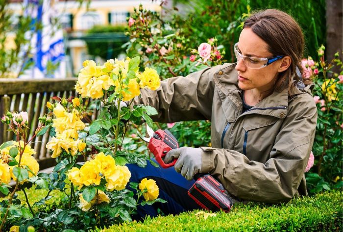 Секатор акумуляторний Einhell Professional GP-LS 18/28 X-Change PXC 18В акб 1х2.5А·год товщ. 28/14мм сталь SK5 ЗП 0.82кг